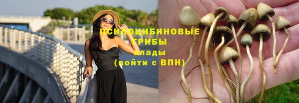 СК Абдулино