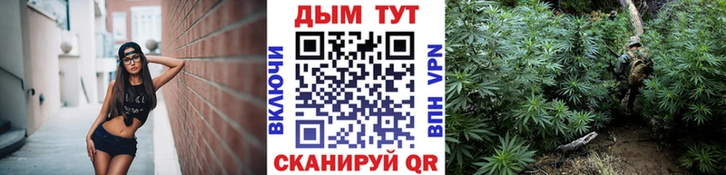 Каннабис конопля наркошоп Полярный